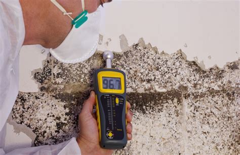 termite detection moisture meter|how to detect termites in house.